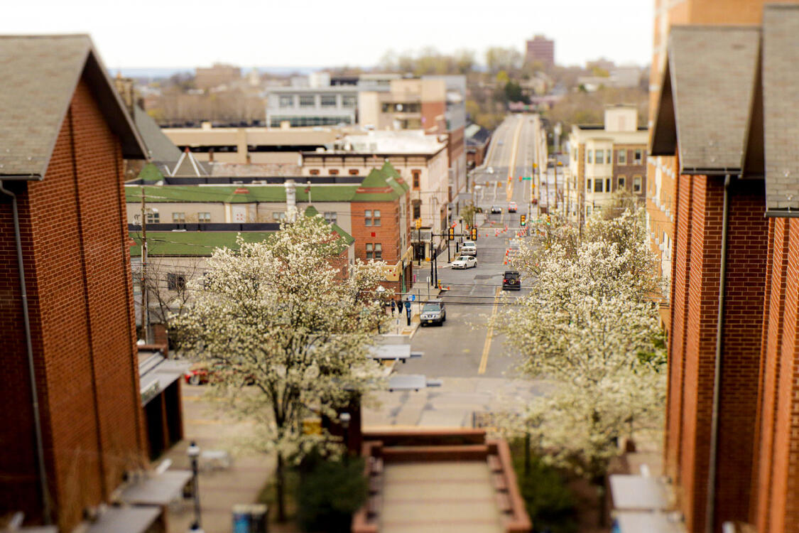 Tilt Shift Lens: Toy Farrington